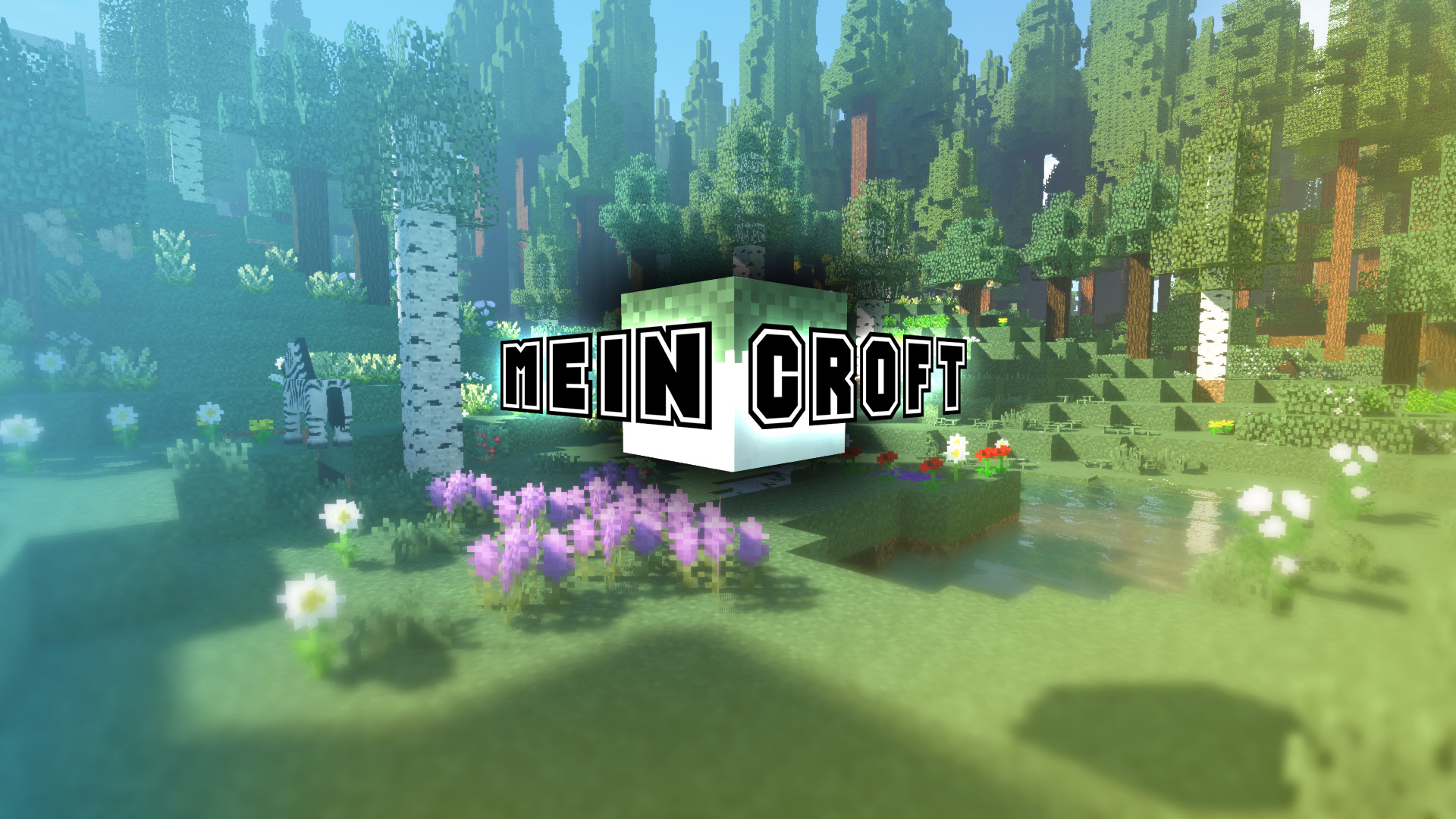 MeinCroft Titelbild