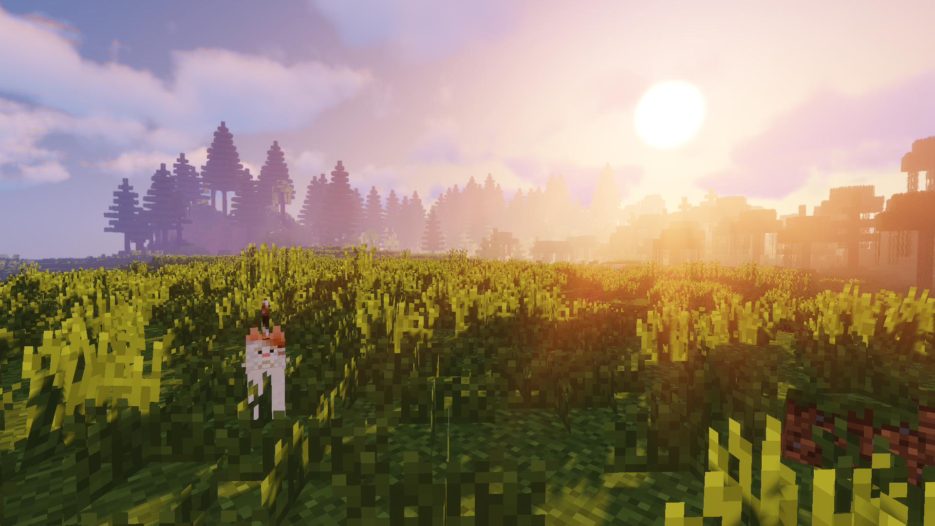 MeinCroft Screenshot mit Katze
